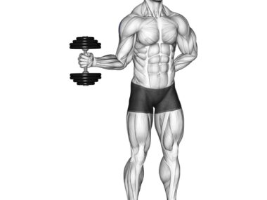 dumbbell internal rotation