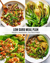 free low carb diet plan