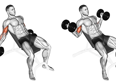 incline inner bicep curl