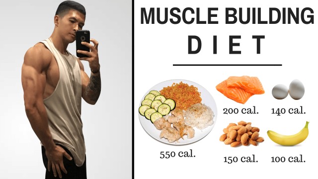 muscle building diet plan