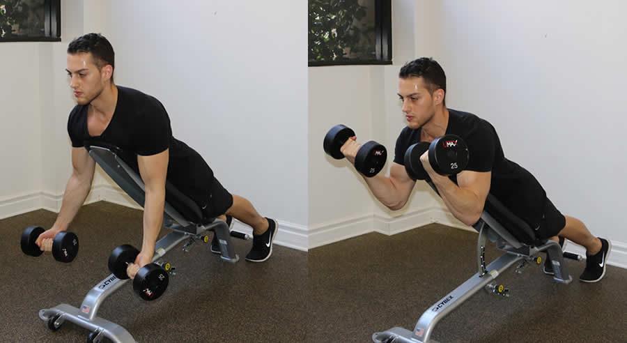 prone incline dumbbell curl